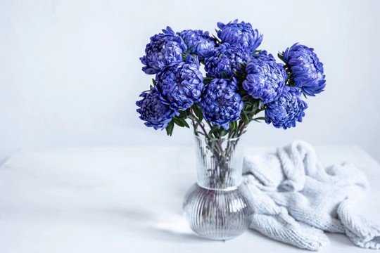 Именины у Дмитрия, Анастасии, Киры, Николая, Александра, Ульяны