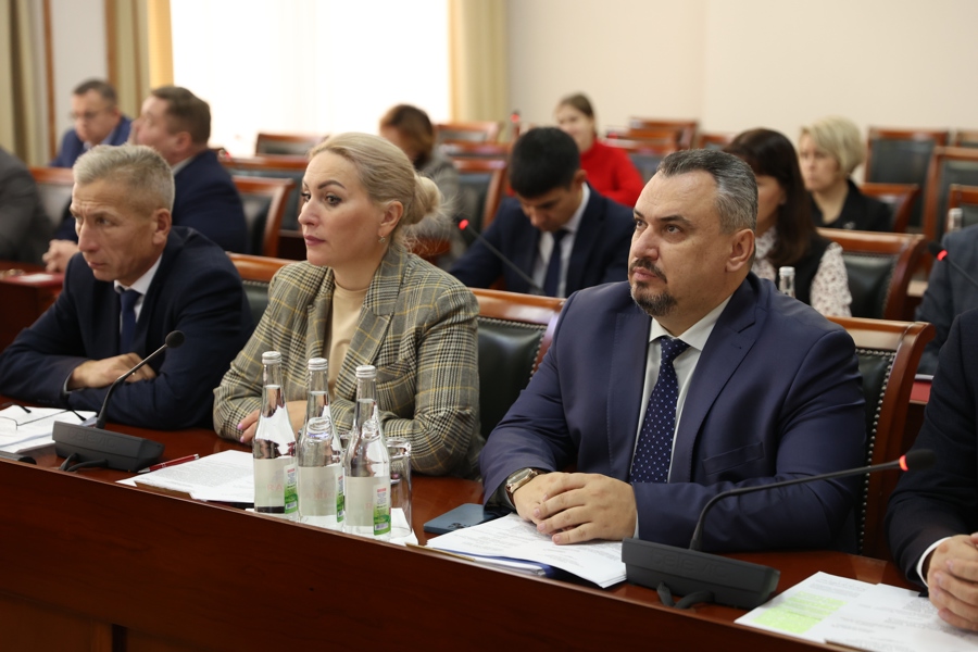 Надежда Колебанова на заседании Кабинета Министров представила проект постановления