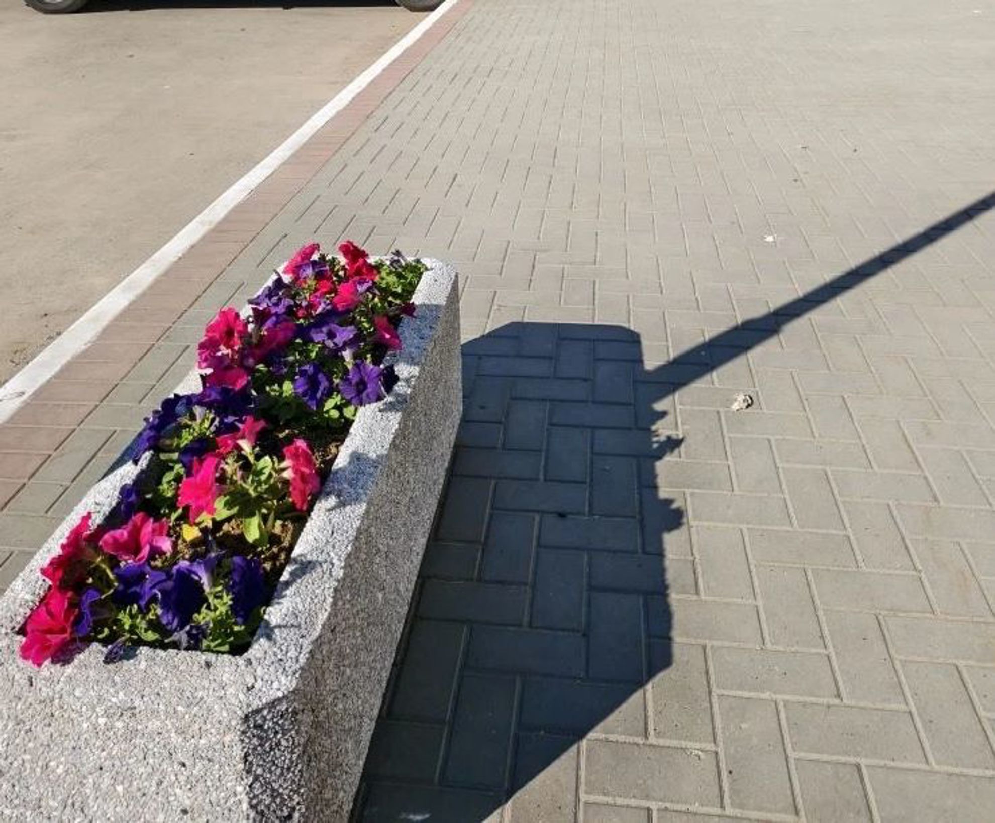 А вы готовы украсить село Моргауши? Тогда присоединяйтесь к нам!