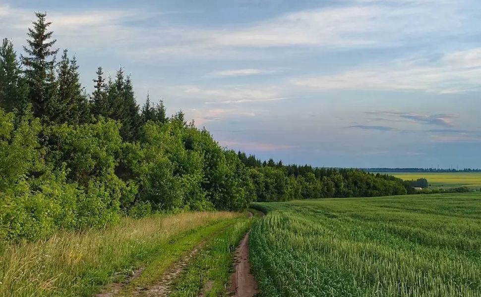 В Ибресинском округе продолжает действовать особый противопожарный режим