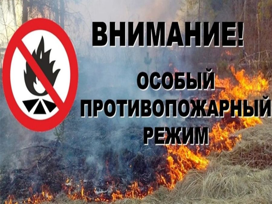 С 10 апреля в Шемуршинском округе вводится особый противопожарный режим