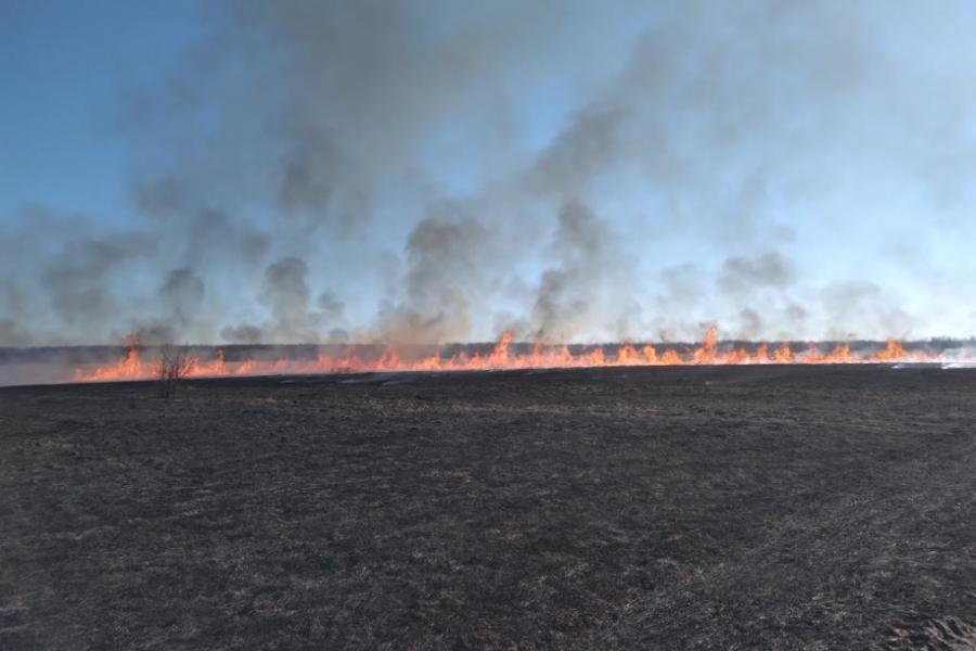 Береги лес от пожара: правила безопасности в пожароопасный сезон