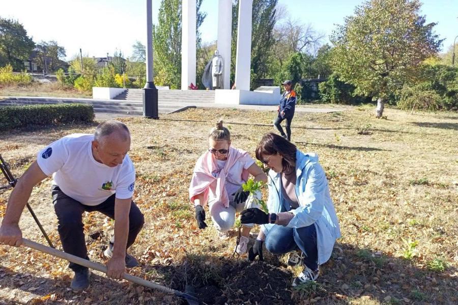 Лесничества Минприроды Чувашии передали посадочный материал для ДНР, ЛНР, Херсонской и Запорожской областей