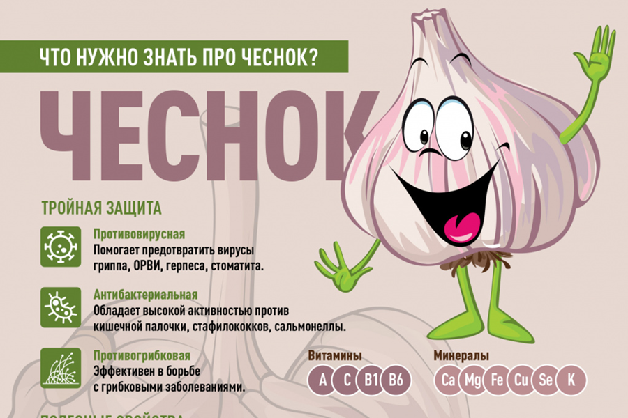 День чеснока