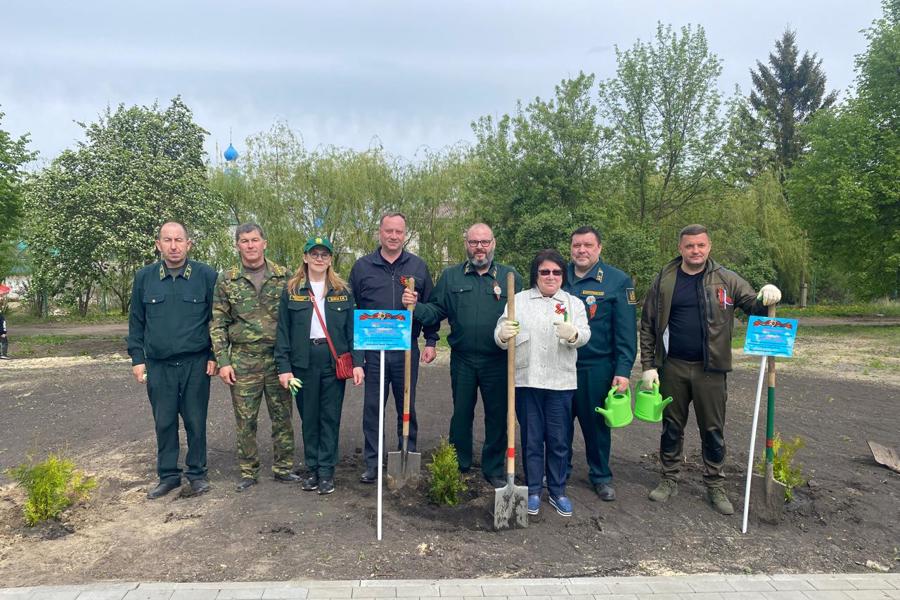 Международная акция «Сад памяти» в округах Чувашии (08.05.2025 г.)