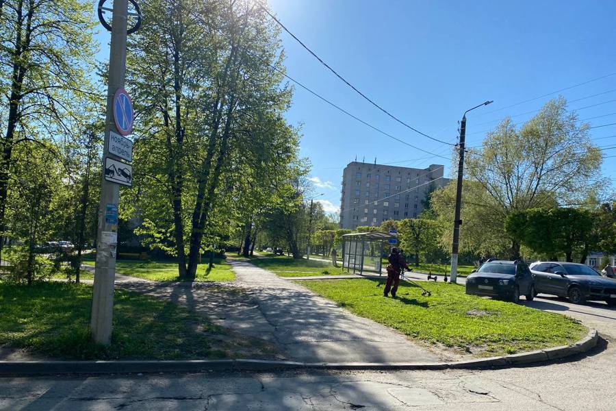 В Чебоксарах продолжаются посадка цветов и покос газонов