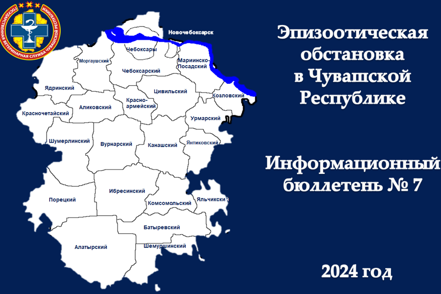 Информационный бюллетень № 7