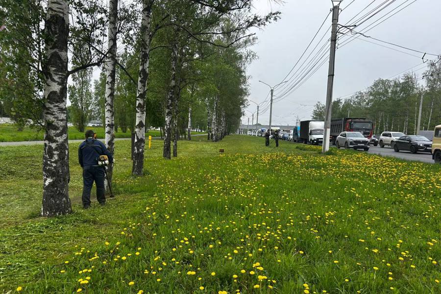 В Чебоксарах продолжаются покос газонов и посадка цветов