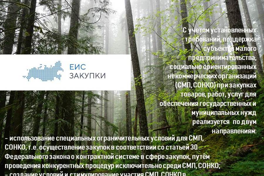Семинар-совещание на тему поддержки субъектов малого предпринимательства, социально ориентированных некоммерческих организаций при закупках товаров, работ, услуг для обеспечения государственных и муниципальных нужд
