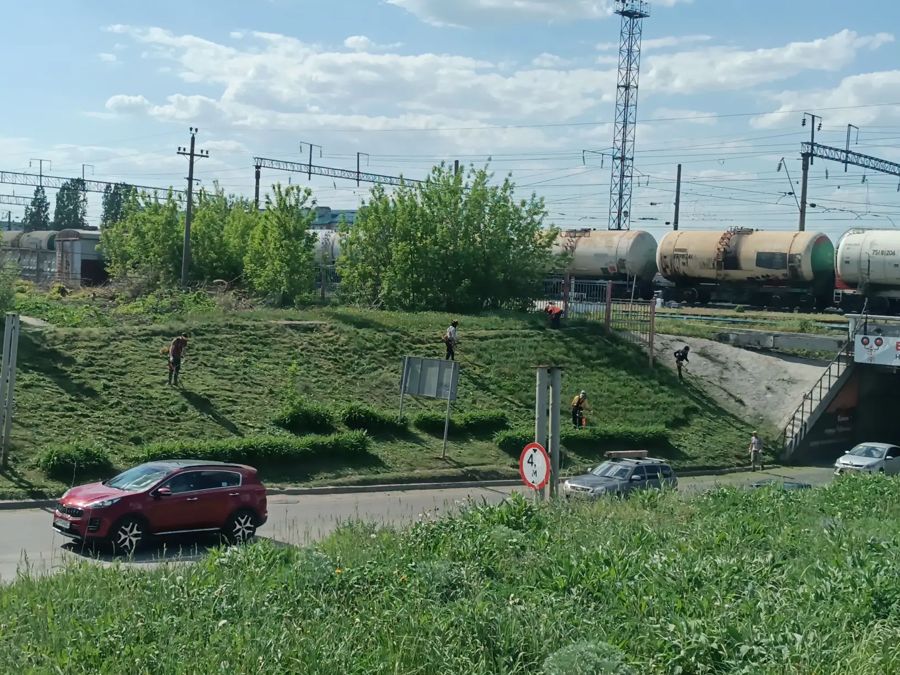 В Канашском муниципальном округе начался первый этап покоса травы