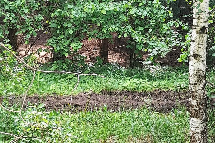 Обустройство минерализованной полосы в Торхарнском сельском поселении