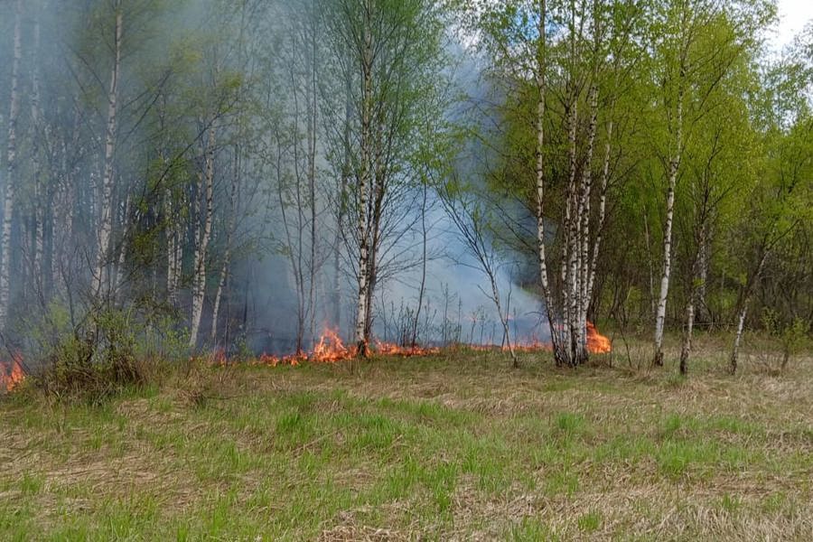 Памятка о предупреждении лесных пожаров