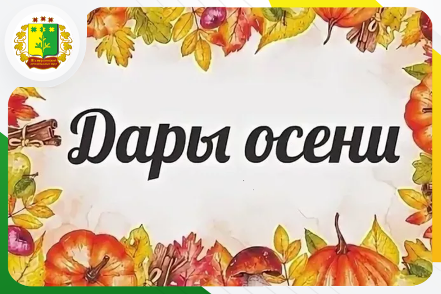 Месячник продажи сельскохозяйственной продукции «Дары осени — 2025»
