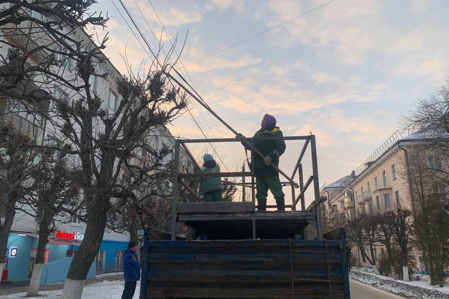 В Чебоксарах продолжается обрезка деревьев и посыпка парков и скверов