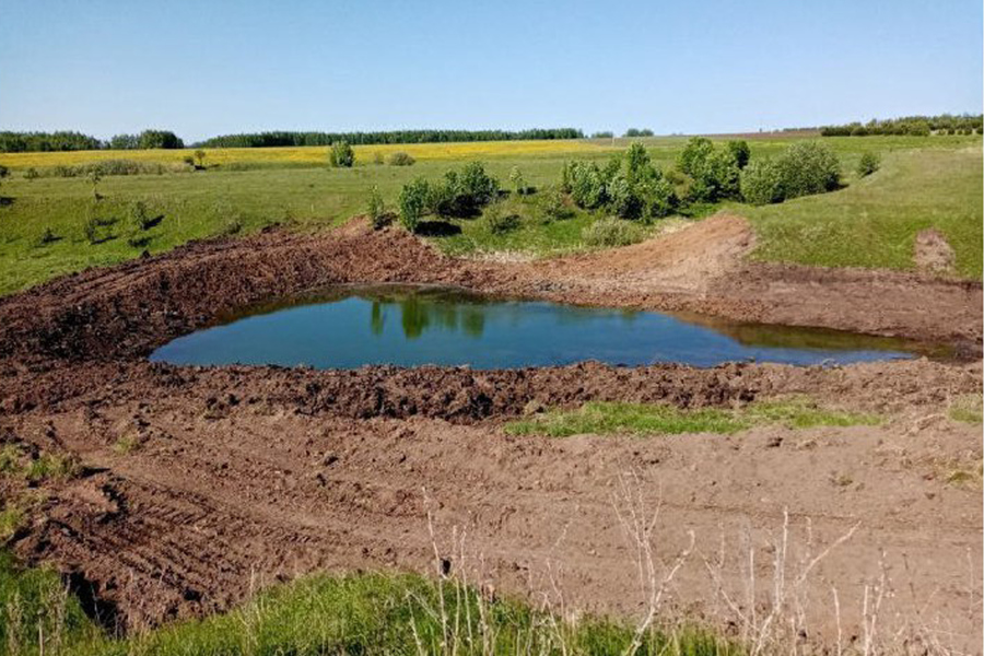 По инициативному проекту в Красночетайском округе очистили пруд