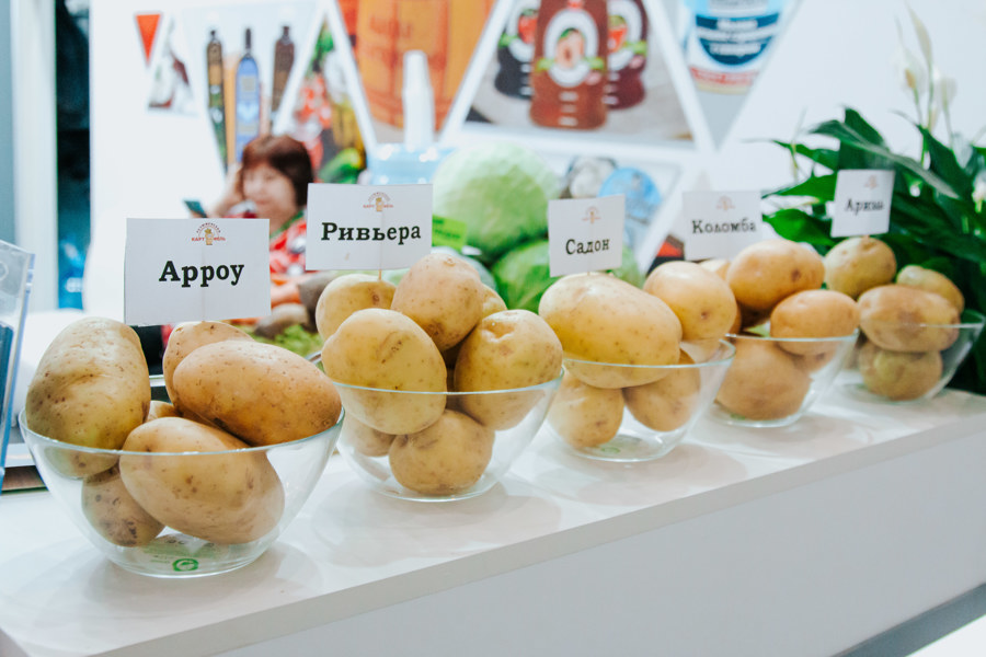 Межрегиональная выставка «Картофель – 2024» начнется в Чебоксарах на этой неделе