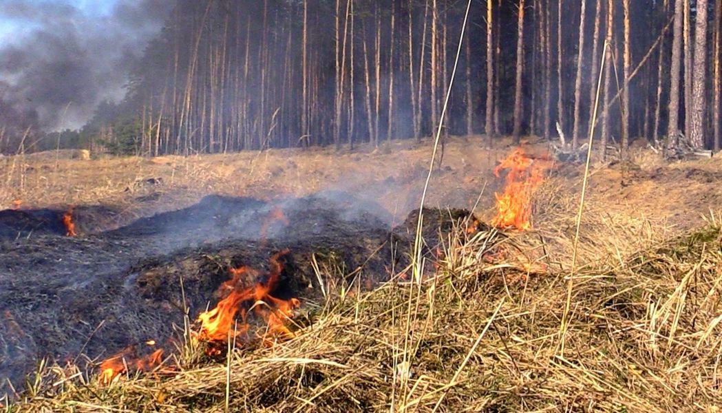 Уважаемые жители Батыревского муниципального округа!