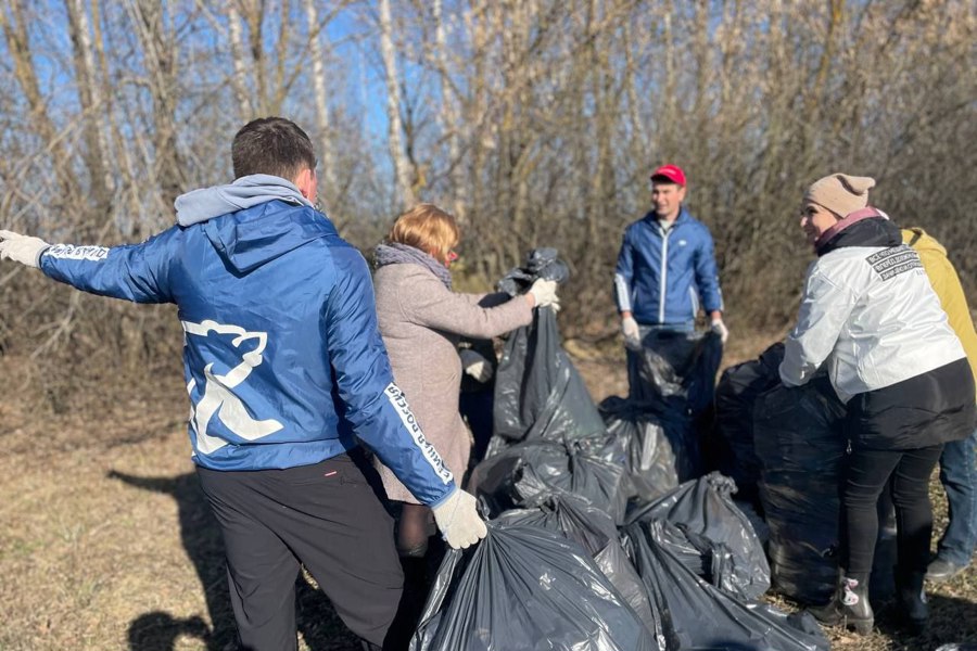 Каждый участник внёс свой вклад в благоустройство и наведение порядка