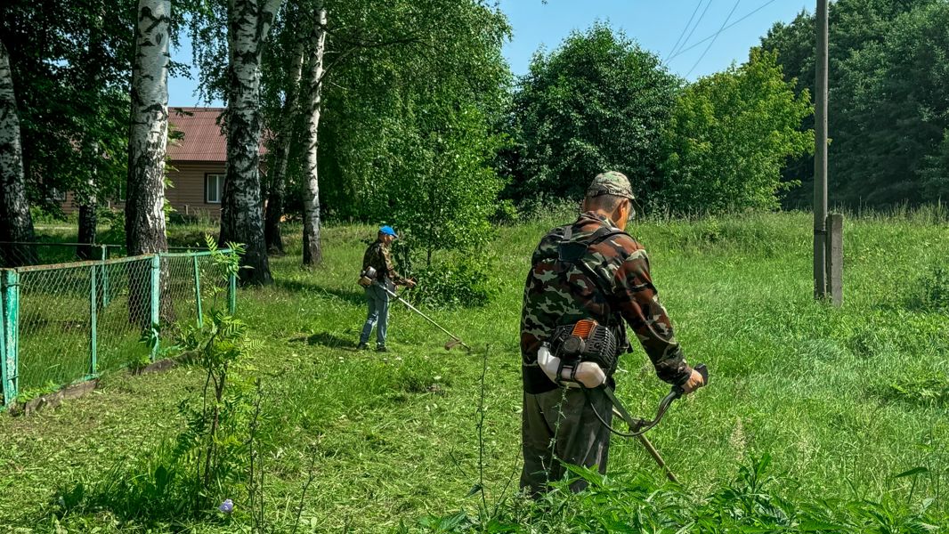 В Ибресинском лесничестве прошел экологический субботник