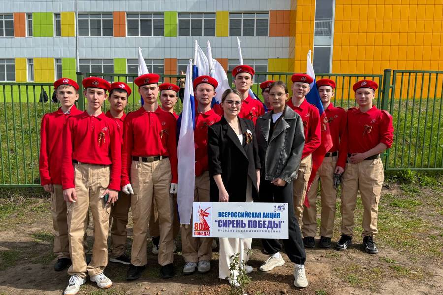 Сиреневая аллея – в память о павших на войне