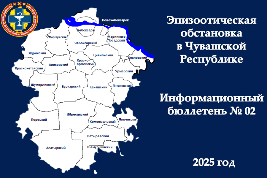 Информационный бюллетень № 02