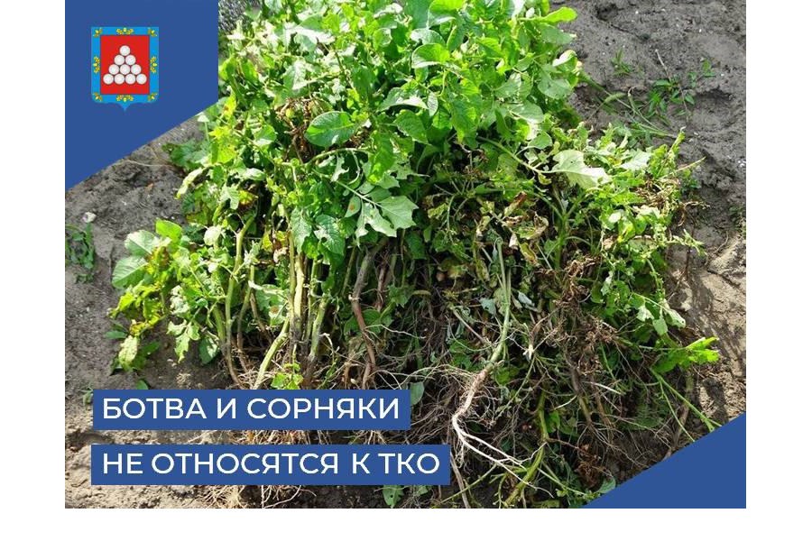 Ботва и сорняки – не ТКО: как правильно поступать с огородными отходами?