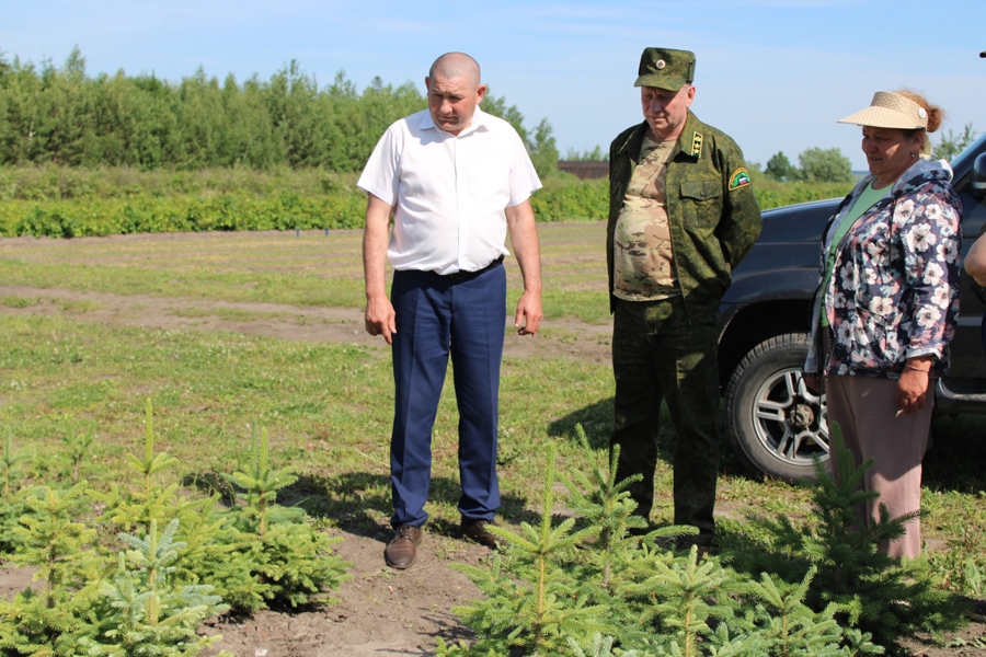 Посещение Шемуршинского лесничества (01.06.2023 г.)