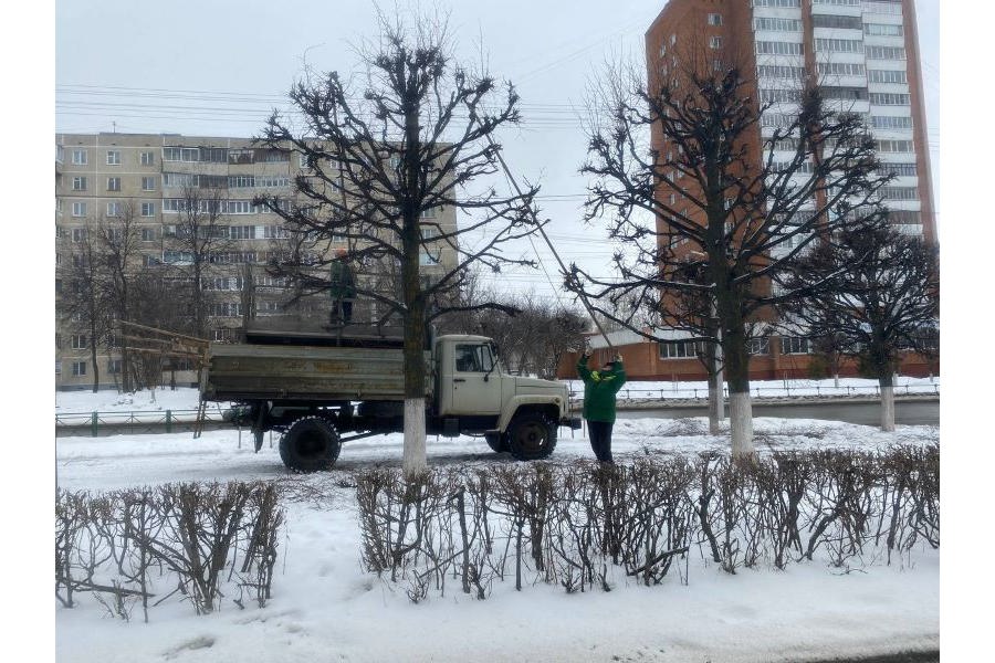 В Чебоксарах продолжаются формовочная обрезка деревьев и вывоз снега с парков, скверов и площадей