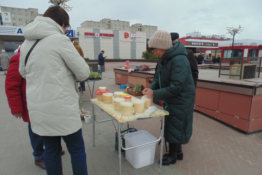 На ярмарке «Весна-2024» чебоксарцы закупили около 70 т сельхозпродукции