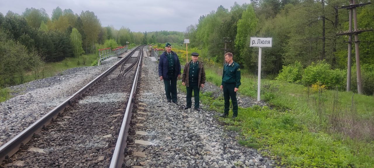 Минприроды Чувашии проводит проверку выполнения требований пожарной безопасности
