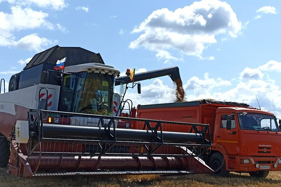 В Красноармейском муниципальном округе началась уборочная кампания