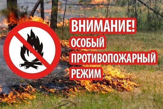 С 10 апреля 2023 года на территории Чувашской Республики устанавливается особый противопожарный режим