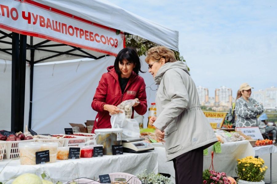 «Дары осени — 2026»: пора запасаться вкусом и пользой