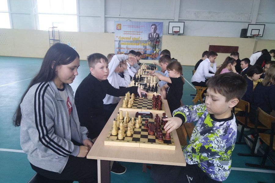 Традиционный открытый шахматный фестиваль «Сурский край-шахматный  край»