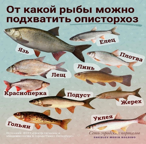 Описторхоз