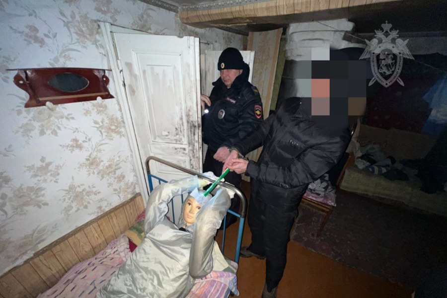 Житель Порецкого округа осужден к длительному лишению свободы за совершение ряда преступлений в отношении односельчанина