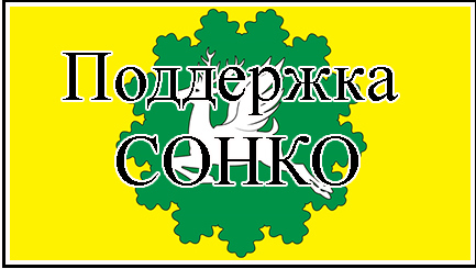 Поддержка СОНКО