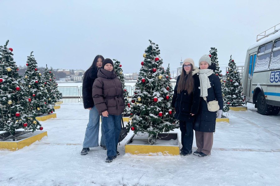 Новогодние каникулы