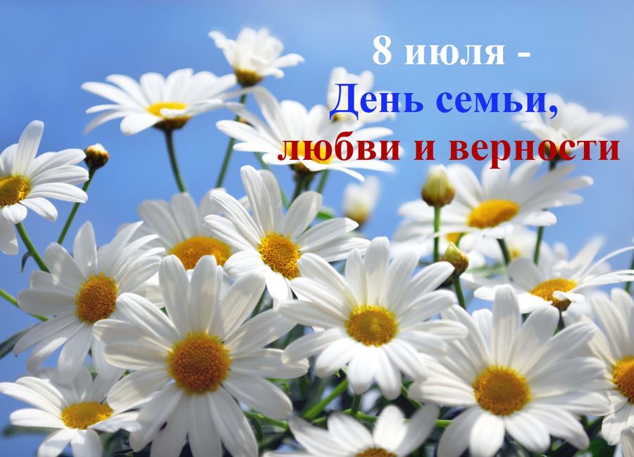 Поздравление главы муниципального округа Ивана Михопарова с Днем семьи, любви и верности