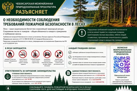 Пожарная безопасность в лесах