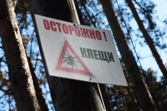 Берегитесь укуса клещей