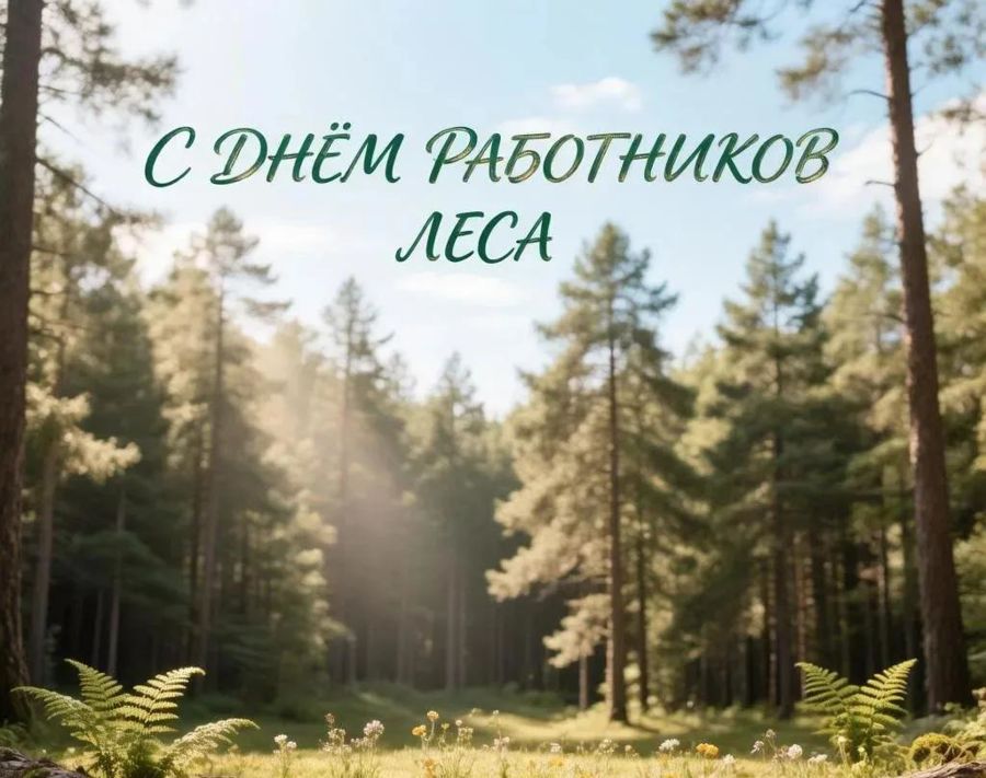 Глава Порецкого муниципального округа Евгений Лебедев поздравляет с Днем работников леса