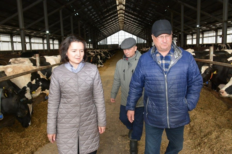 Глава округа Надежда Никандрова посетила Малдыкасинский молочно-товарный комплекс