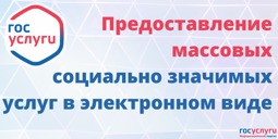 Массовые социально значимые услуги, предоставляемые посредством ЕПГУ