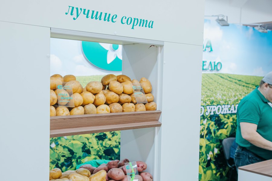 Более 50 предприятий из 15 регионов России подали заявки на участие в выставке «Картофель-2024» в Чувашии