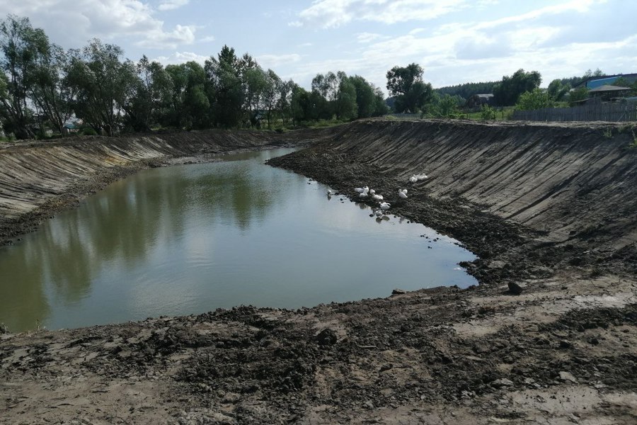 Инициативный проект: в Чувашии в деревне Туруново очистили заилившийся пруд