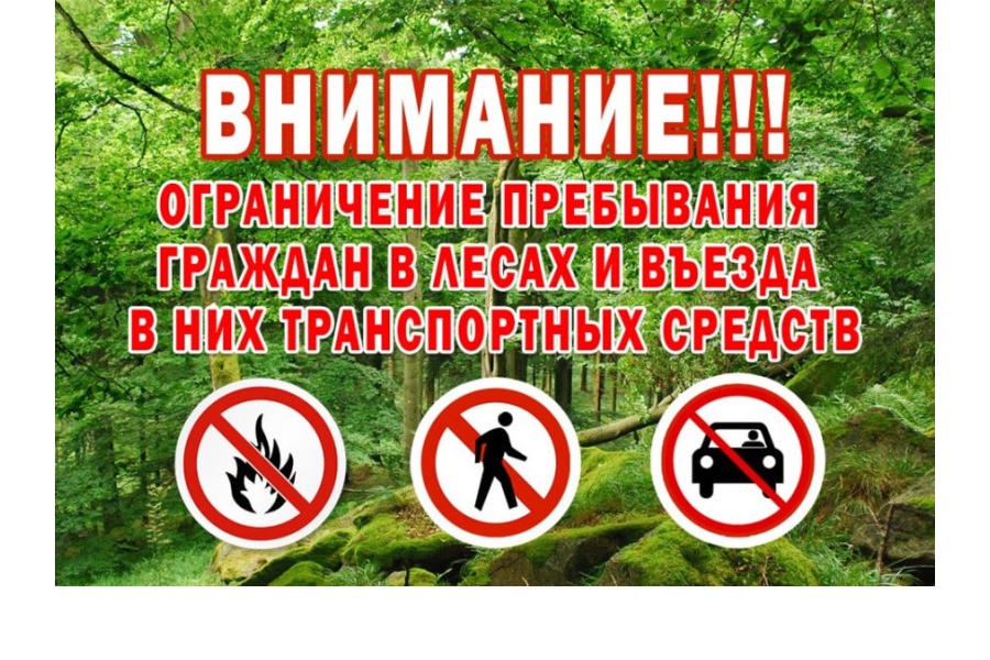 С 1 июля на территории Чувашской Республики введн запрет на посещение гражданами лесов