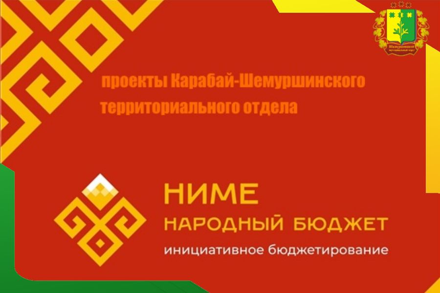 Два проекта от жителей деревни Новое Буяново представлены на голосование в рамках программы „НИМЕ — Народный бюджет“