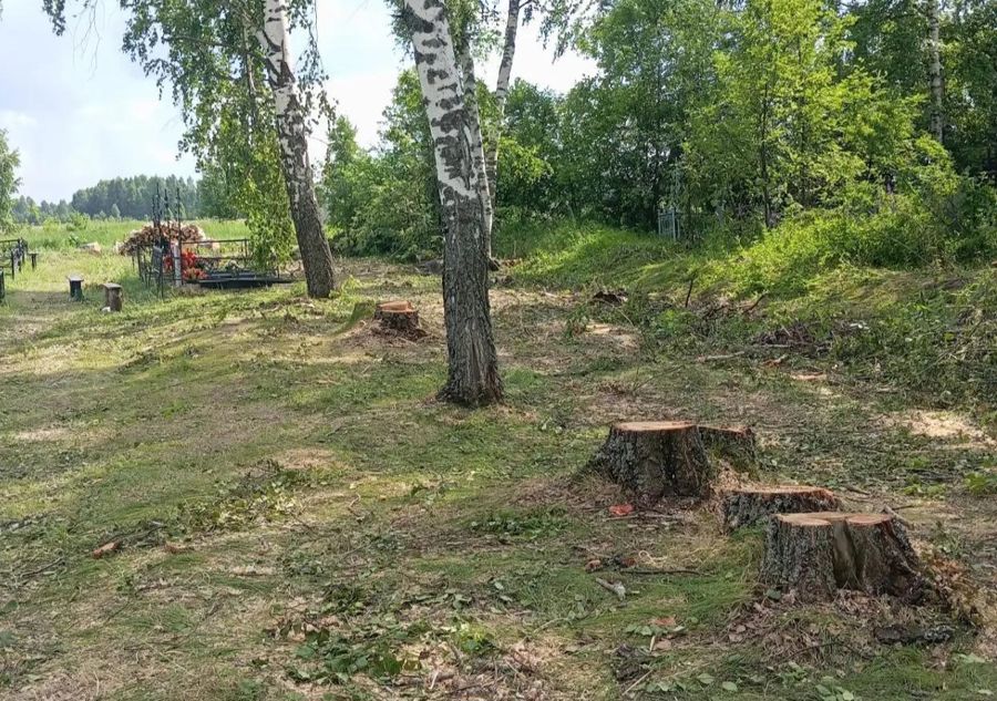 В селе Сиява на гражданских кладбищах была произведена вырубка сухостойных и аварийных деревьев, ремонт кровли ритуальной площадки
