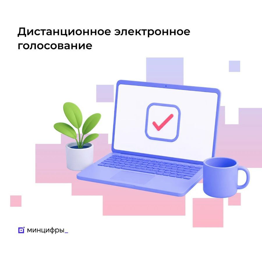 Чувашская Республика вошла в топ-5 регионов России по числу заявлений на дистанционное электронное голосование